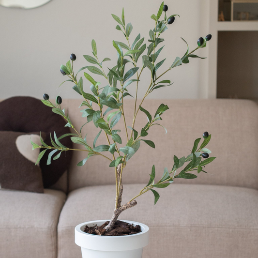 Rust, natuur en stijl: 5 organische woonaccessoires die perfect passen bij de Japandi-stijl