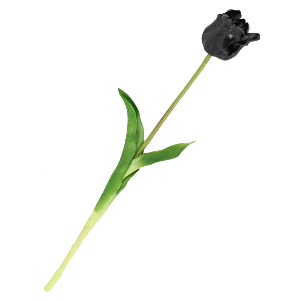 Tulpen | Diverse kleuren