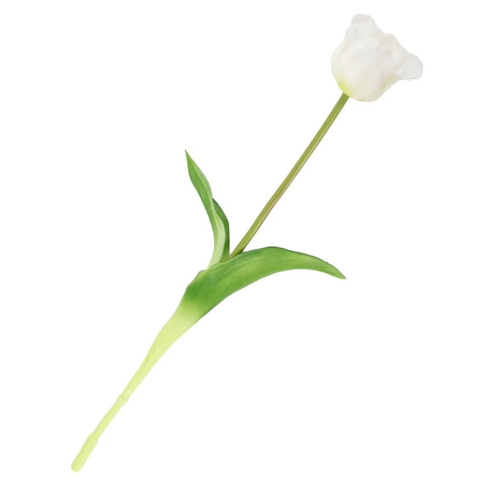 Tulpen | Diverse kleuren