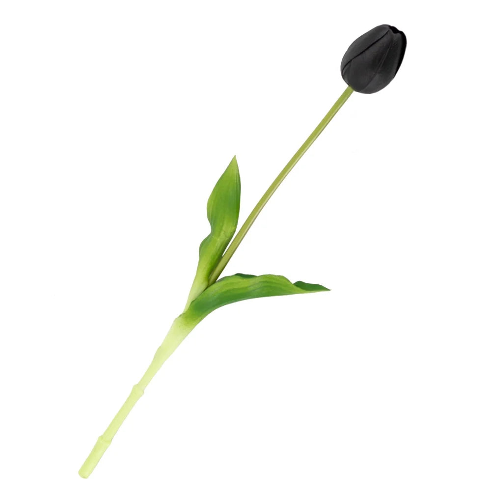 Tulpen | Diverse kleuren