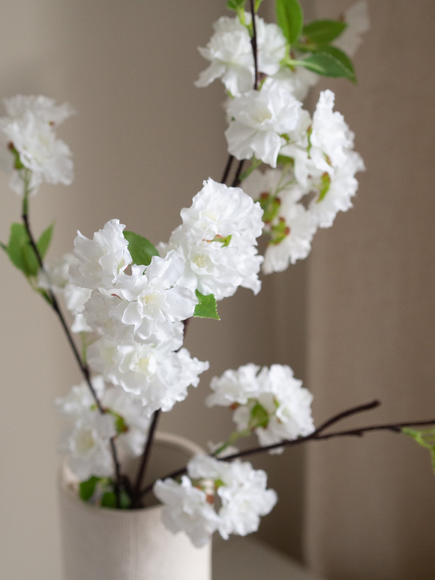 Bloesemtak | Wit