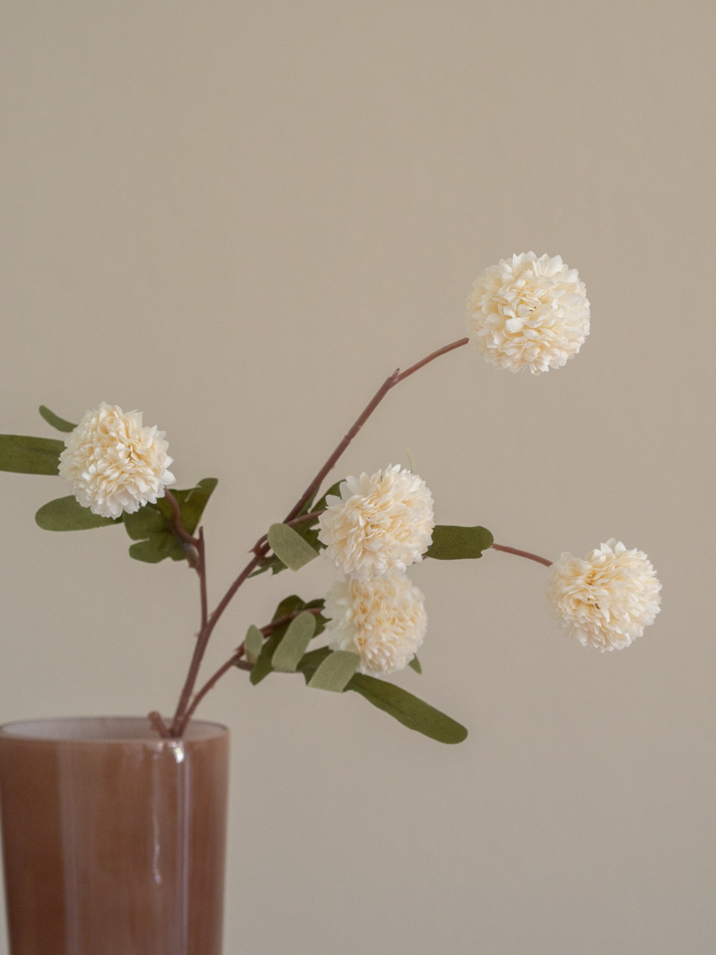 Bolletjes tak | Bloem | Divers