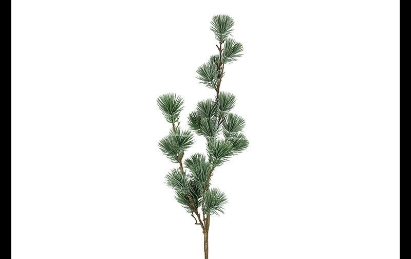 Zijden tak | Den Pinus | 2 Varianten