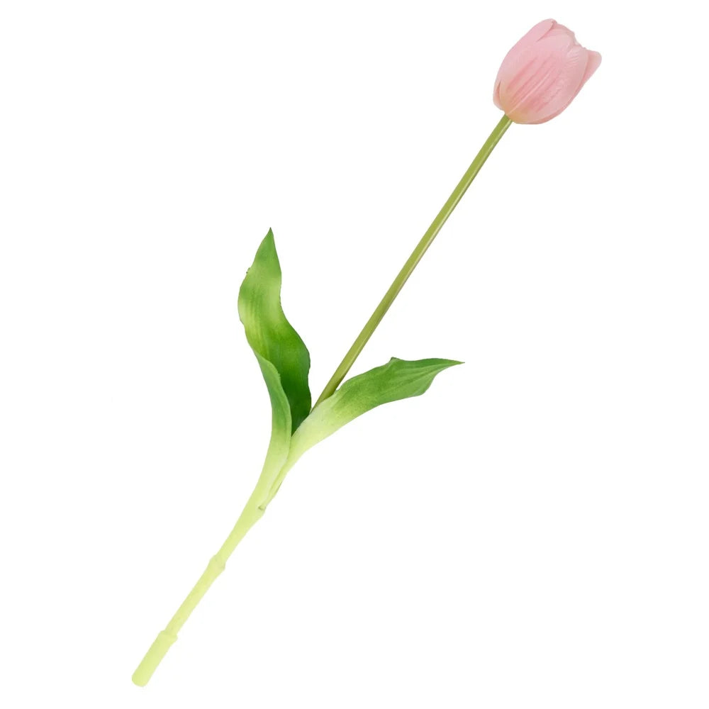 Tulpen | Diverse kleuren