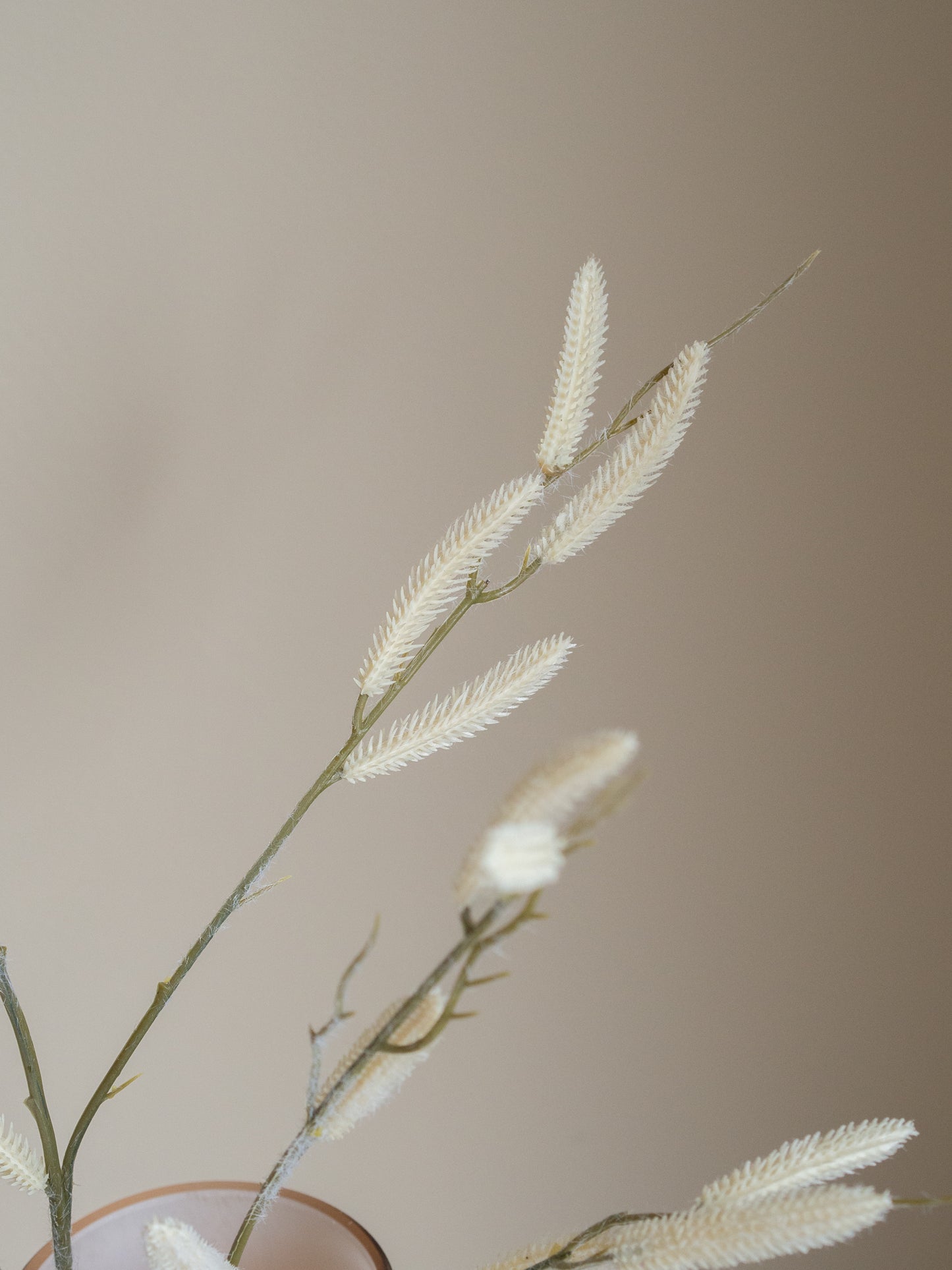 Salix | Kunst