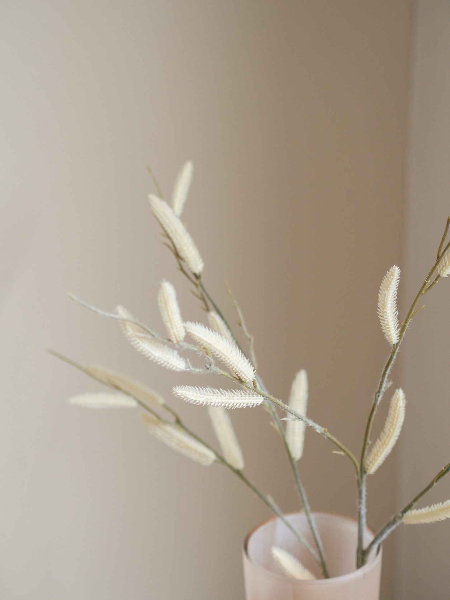 Salix | Kunst