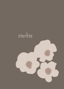 Sterkte