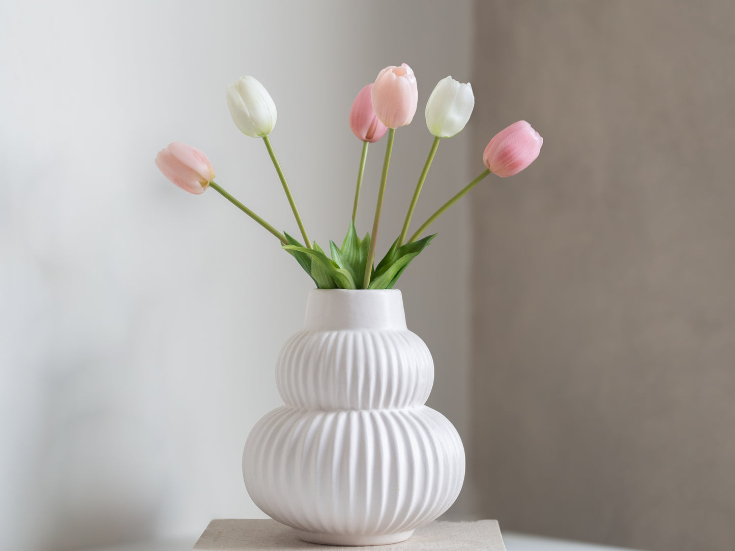 Tulpen | Diverse kleuren