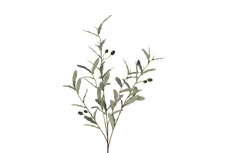 Olijftak | Kunst