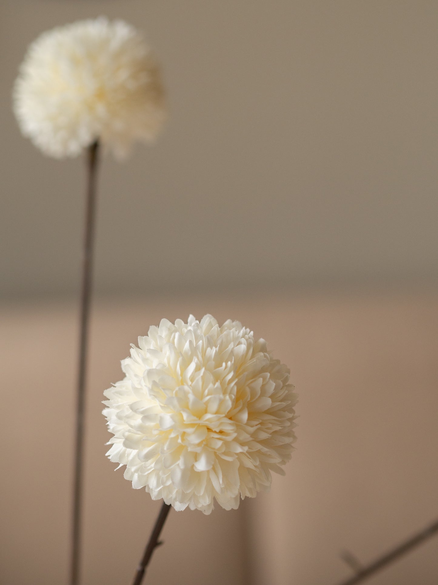 Zijdentak | Pompom | Drie