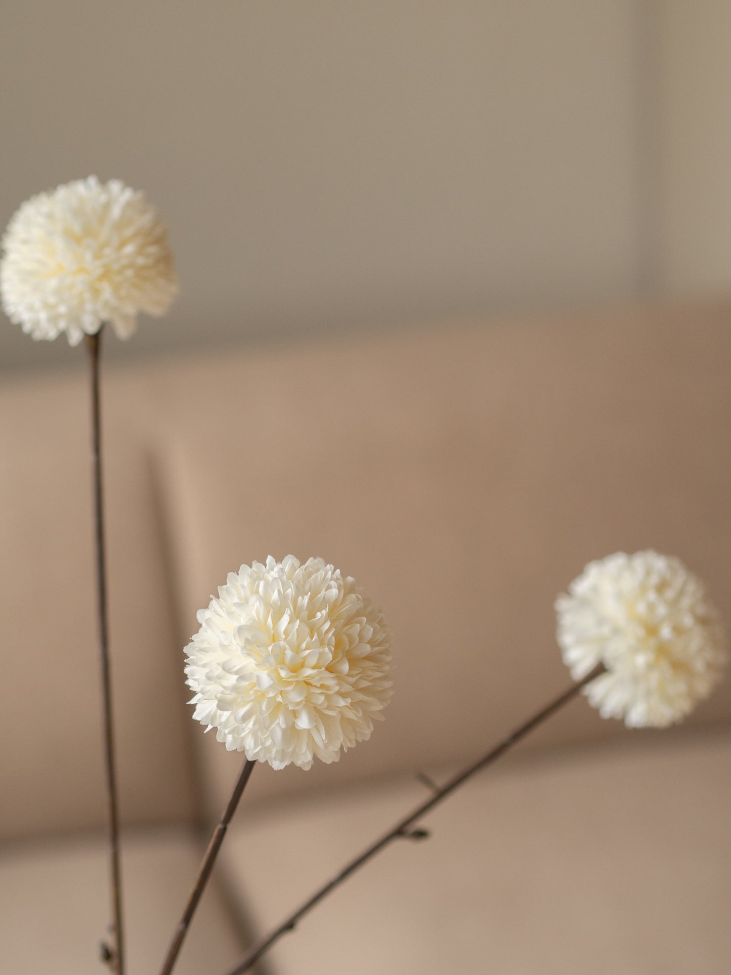 Zijdentak | Pompom | Drie