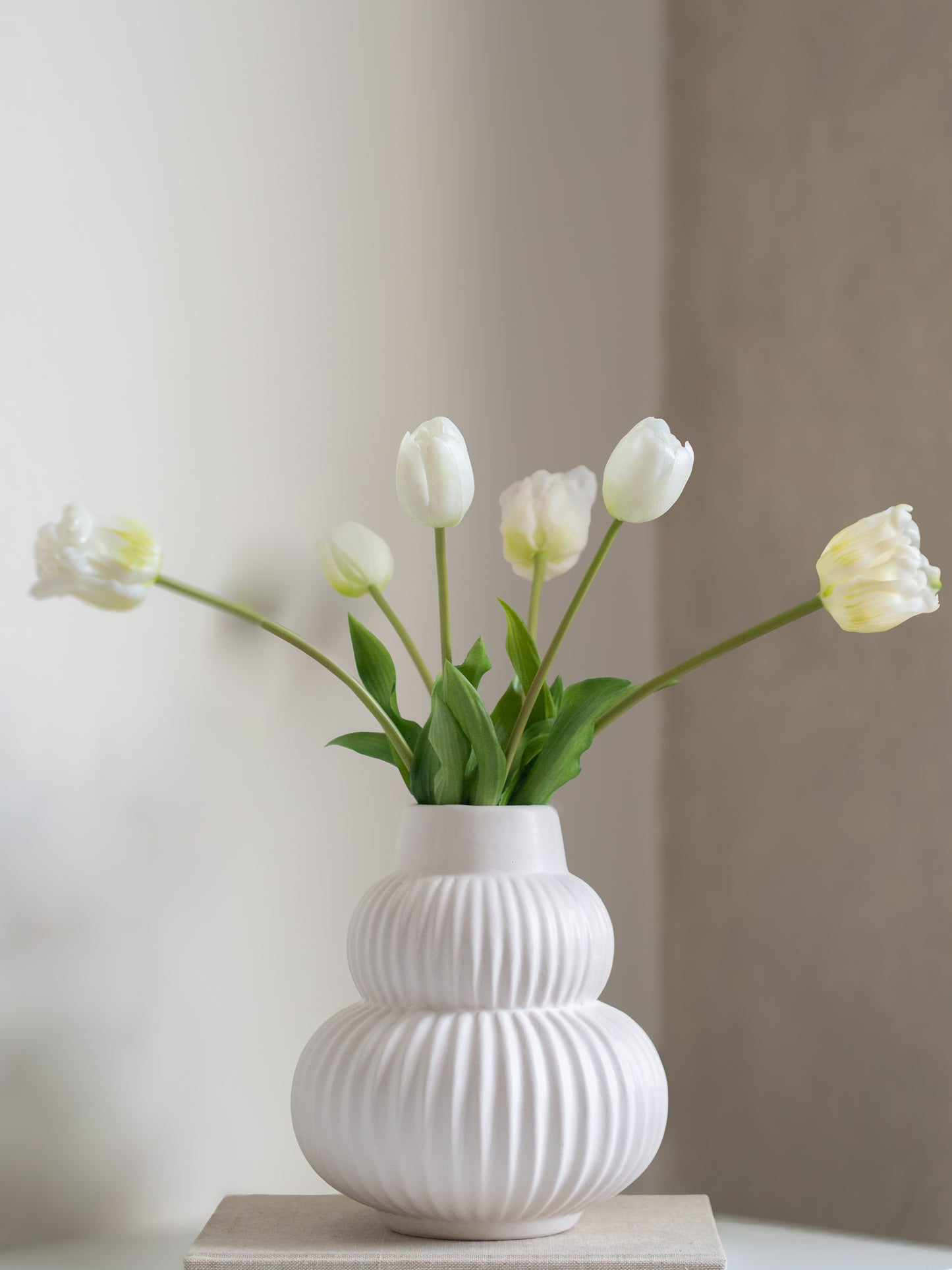 Tulpen | Diverse kleuren