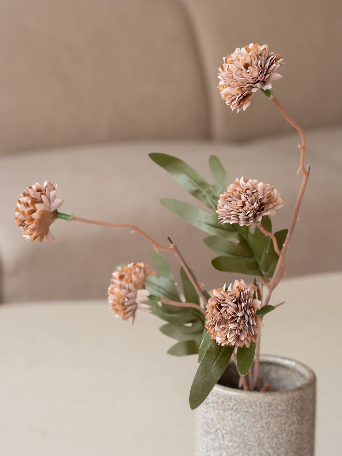 Bolletjes tak | Bloem | Divers