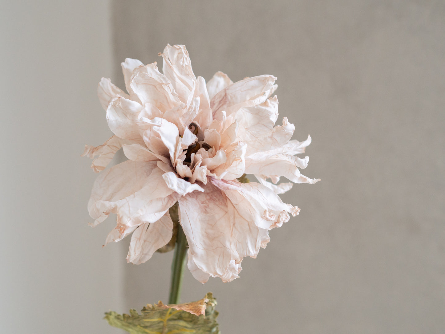 Zijden bloemen | Divers