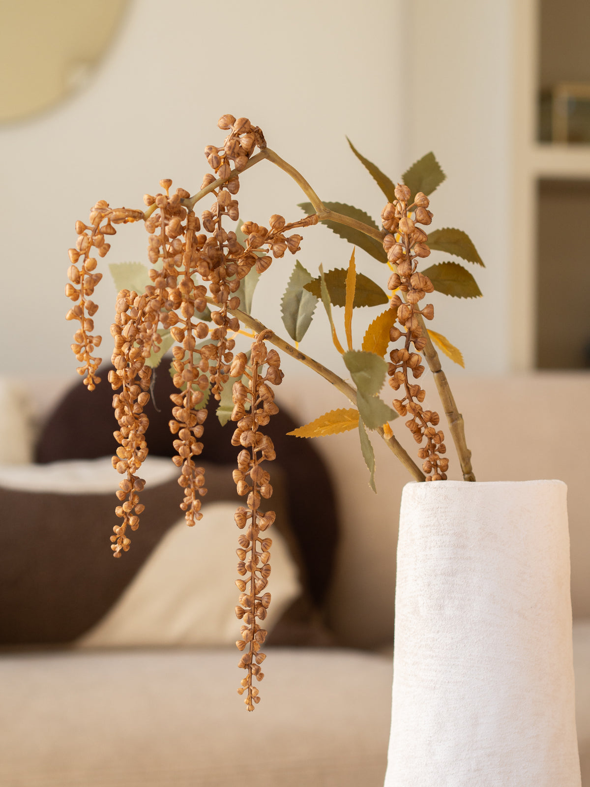 Zijden bloem | Phytolacca | Bruin