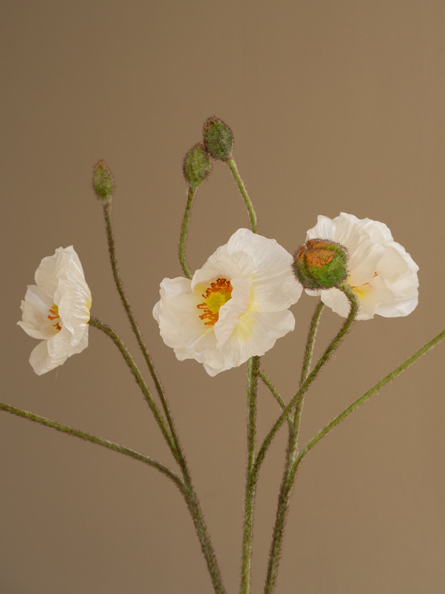 zijden bloemen papaver