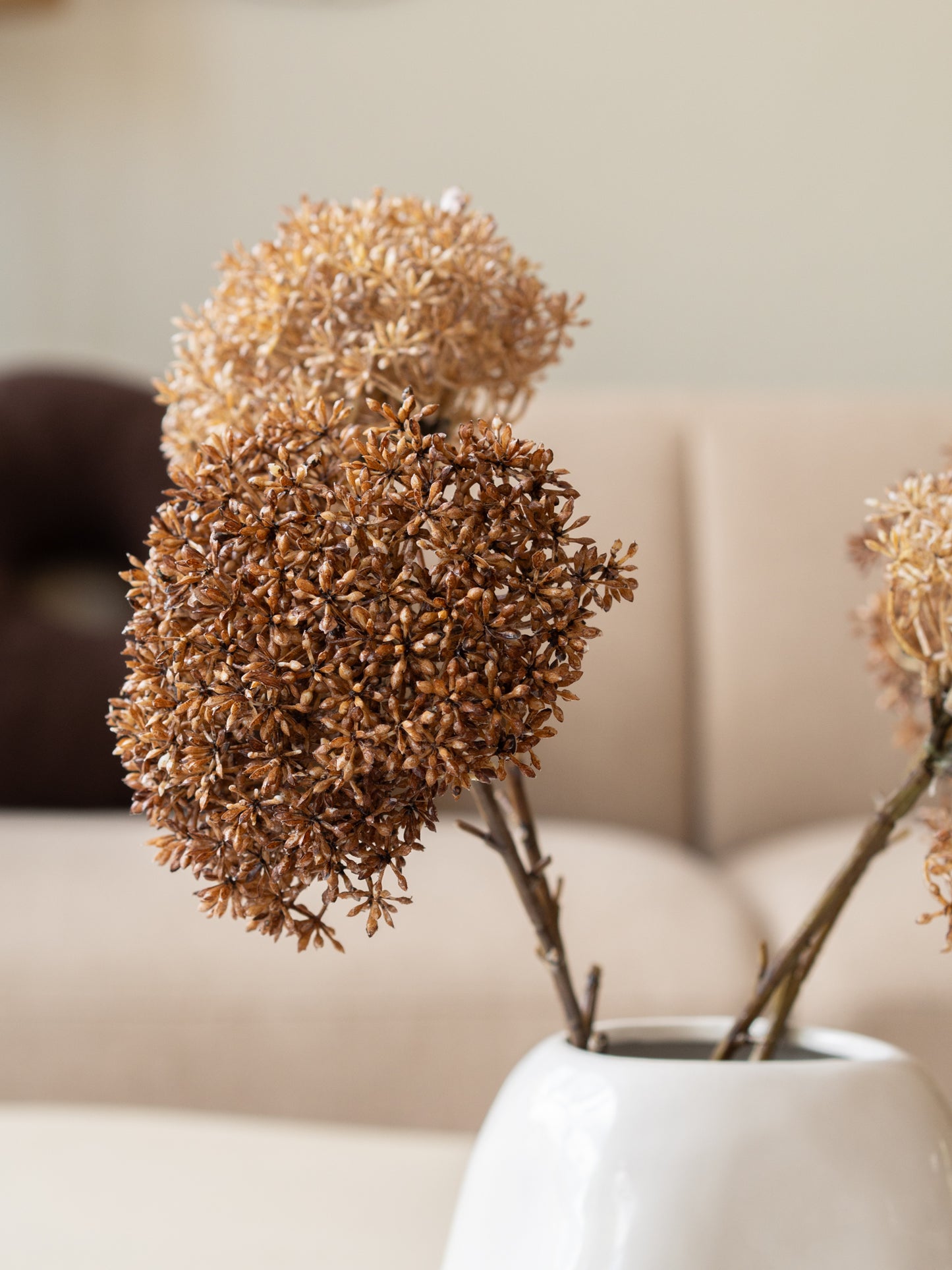 Zijden bloem | Trachelium | Beige/bruin | 65 cm