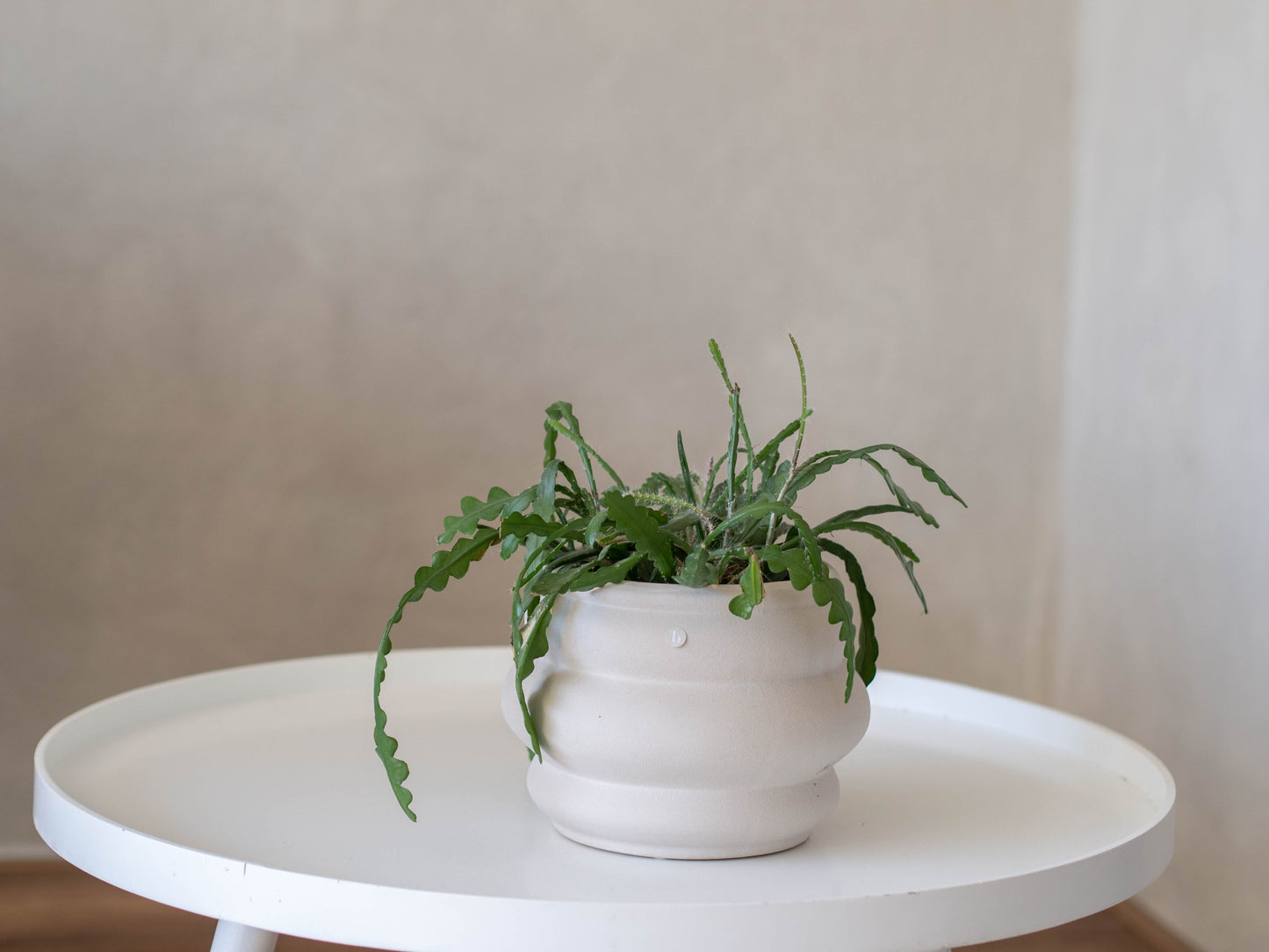 Vaas | Broste Copenhagen Ursula | Licht