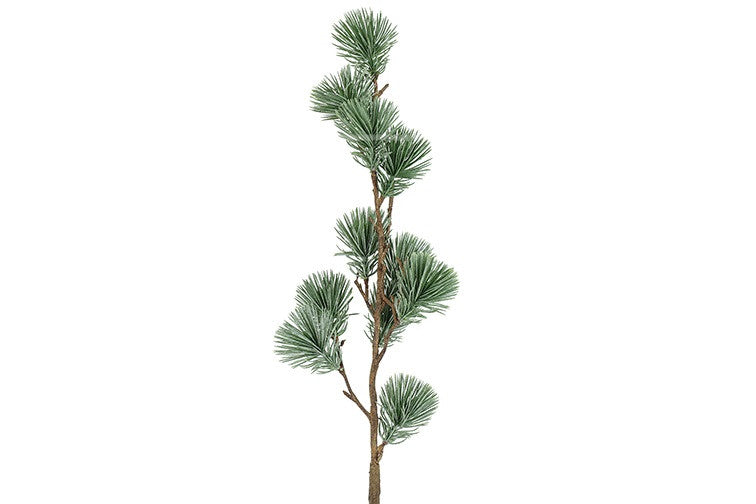 Zijden tak | Den Pinus | 2 Varianten
