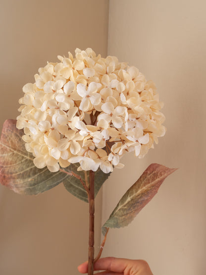 Zijden bloem | Hortensia | Creme