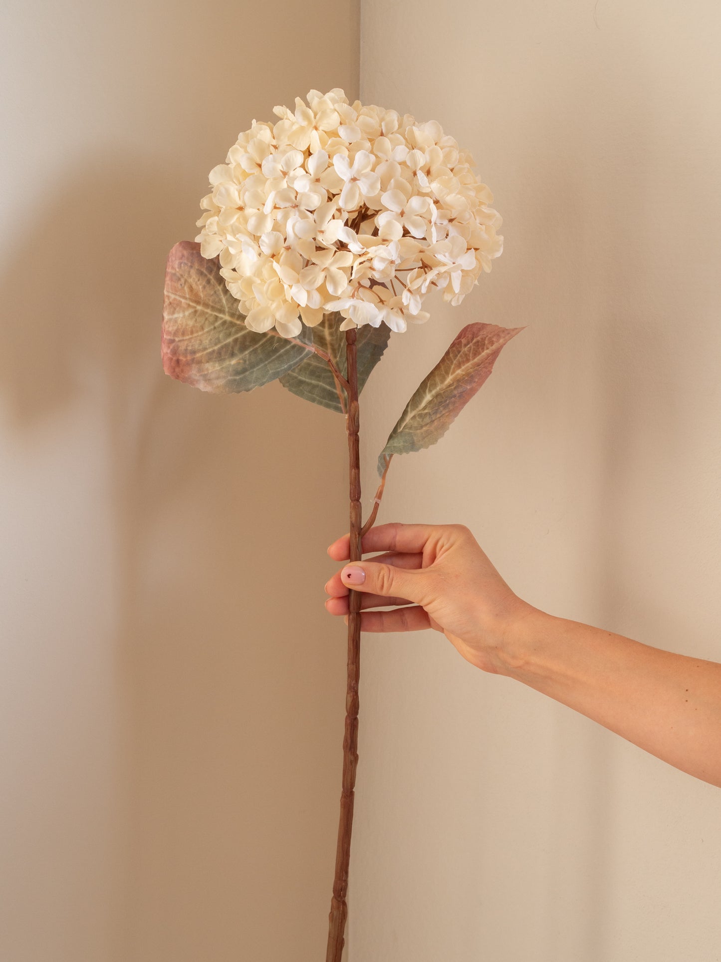 Zijden bloem | Hortensia | Creme