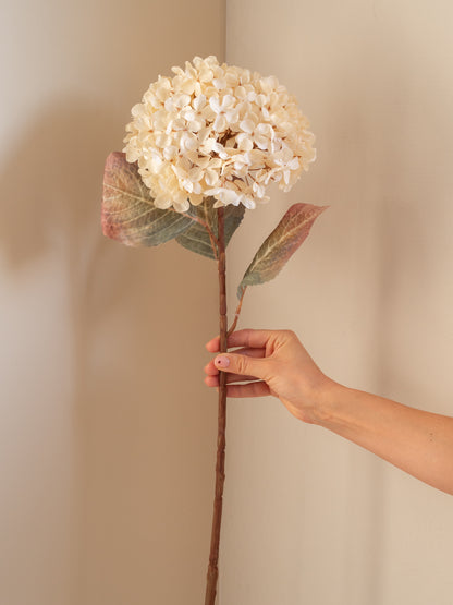 Zijden bloem | Hortensia | Creme