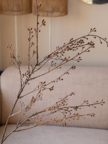 Zijden tak | Callicarpa