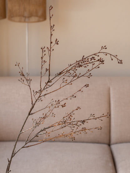 Zijden tak | Callicarpa