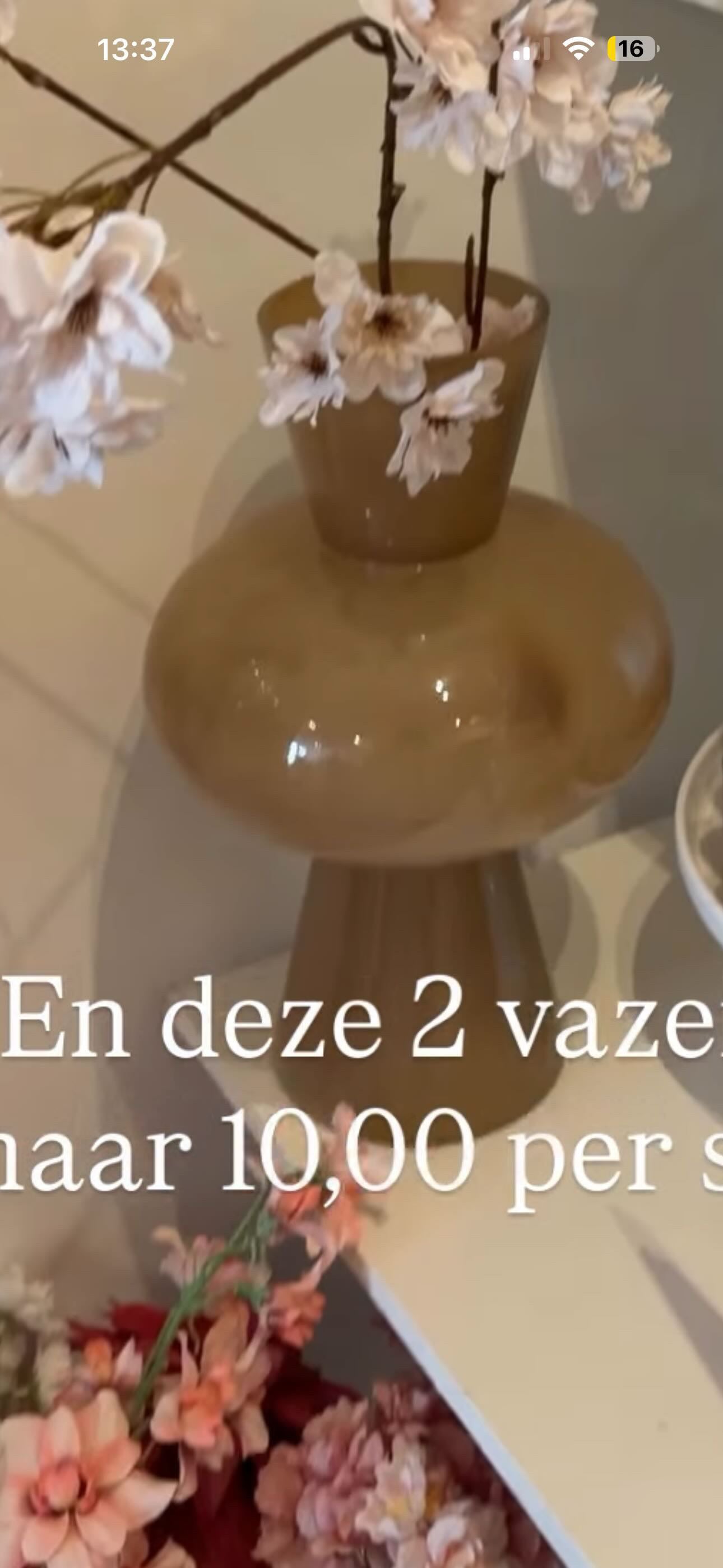 2 vazen + 1 zijden tak