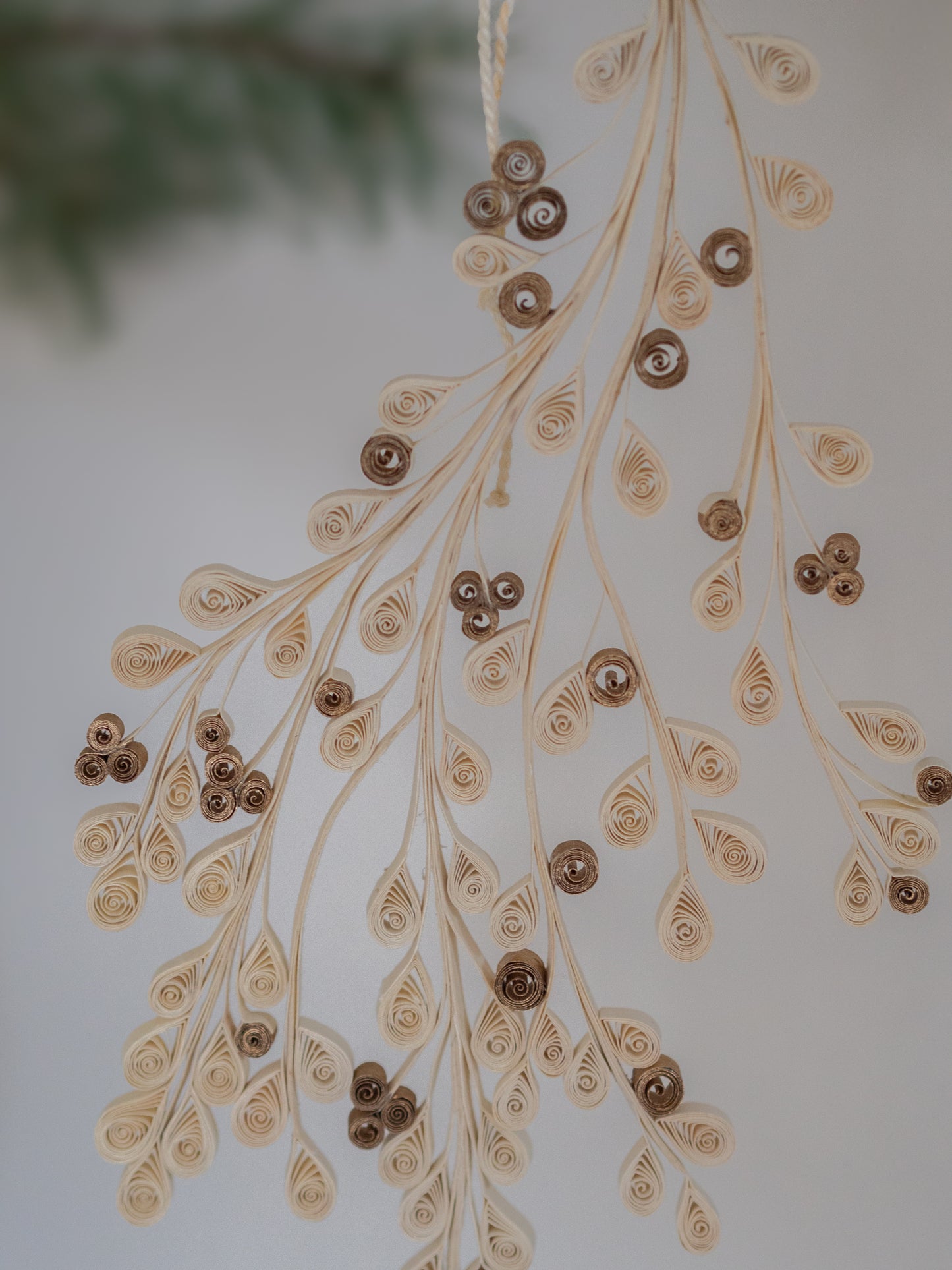 Mistletoe | Papier
