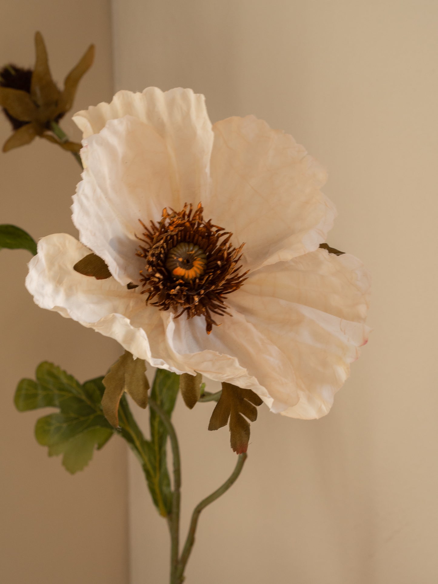 Zijden bloem | Papaver | Creme