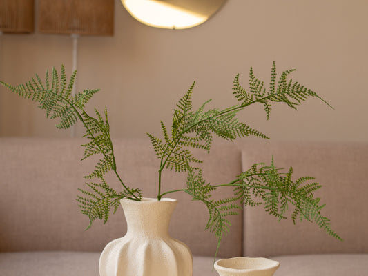 Zijdentak | Varen | Groen