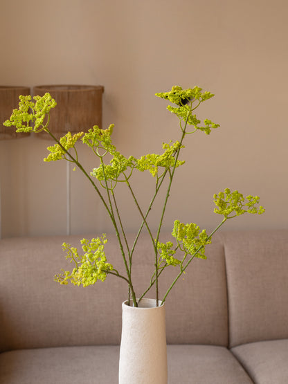 Zijdentak | Anthriscus