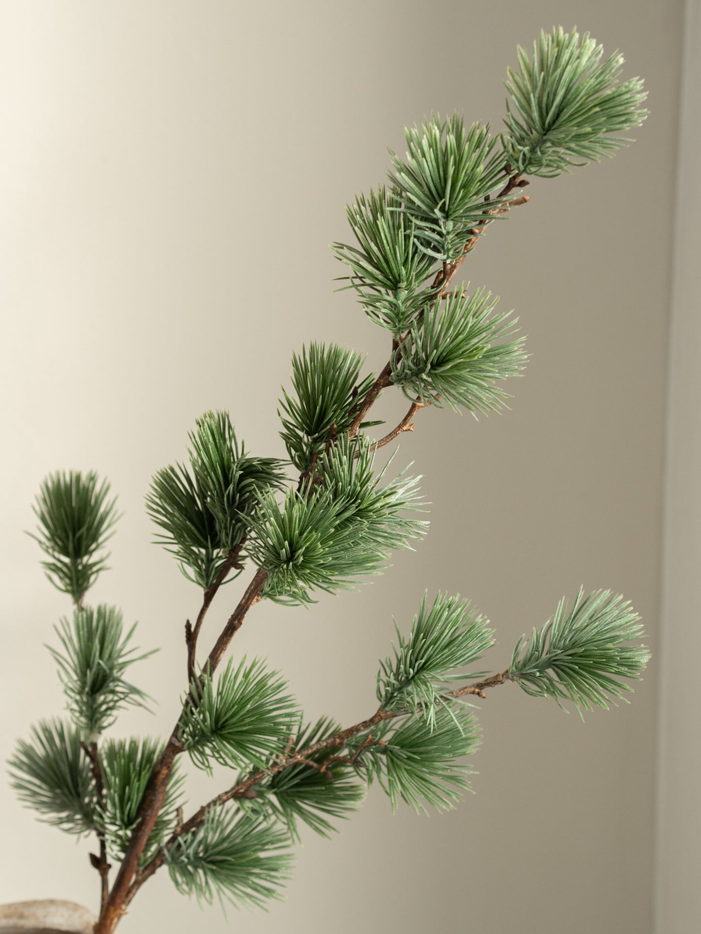 Zijden tak | Dennen | Grijs-groen