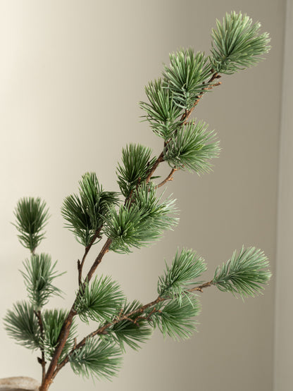 Zijden tak | Dennen | Grijs-groen