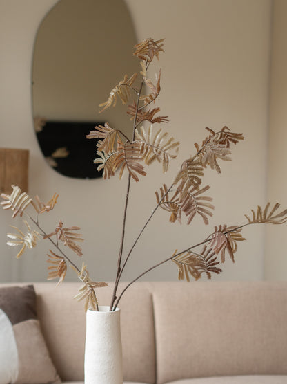 Zijdentak | Varen | Bruin