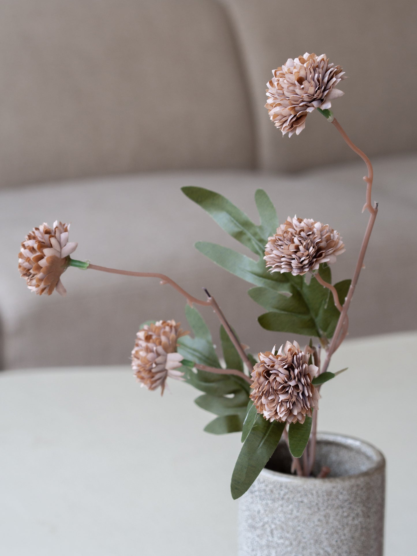 Bolletjes tak | Bloem | Divers