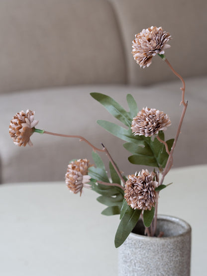 Bolletjes tak | Bloem | Divers
