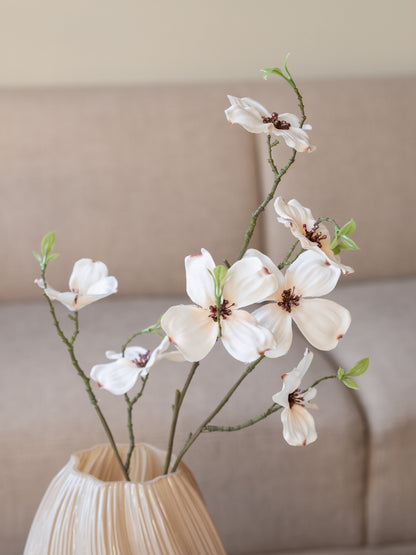 Zijden bloem | Dogwood