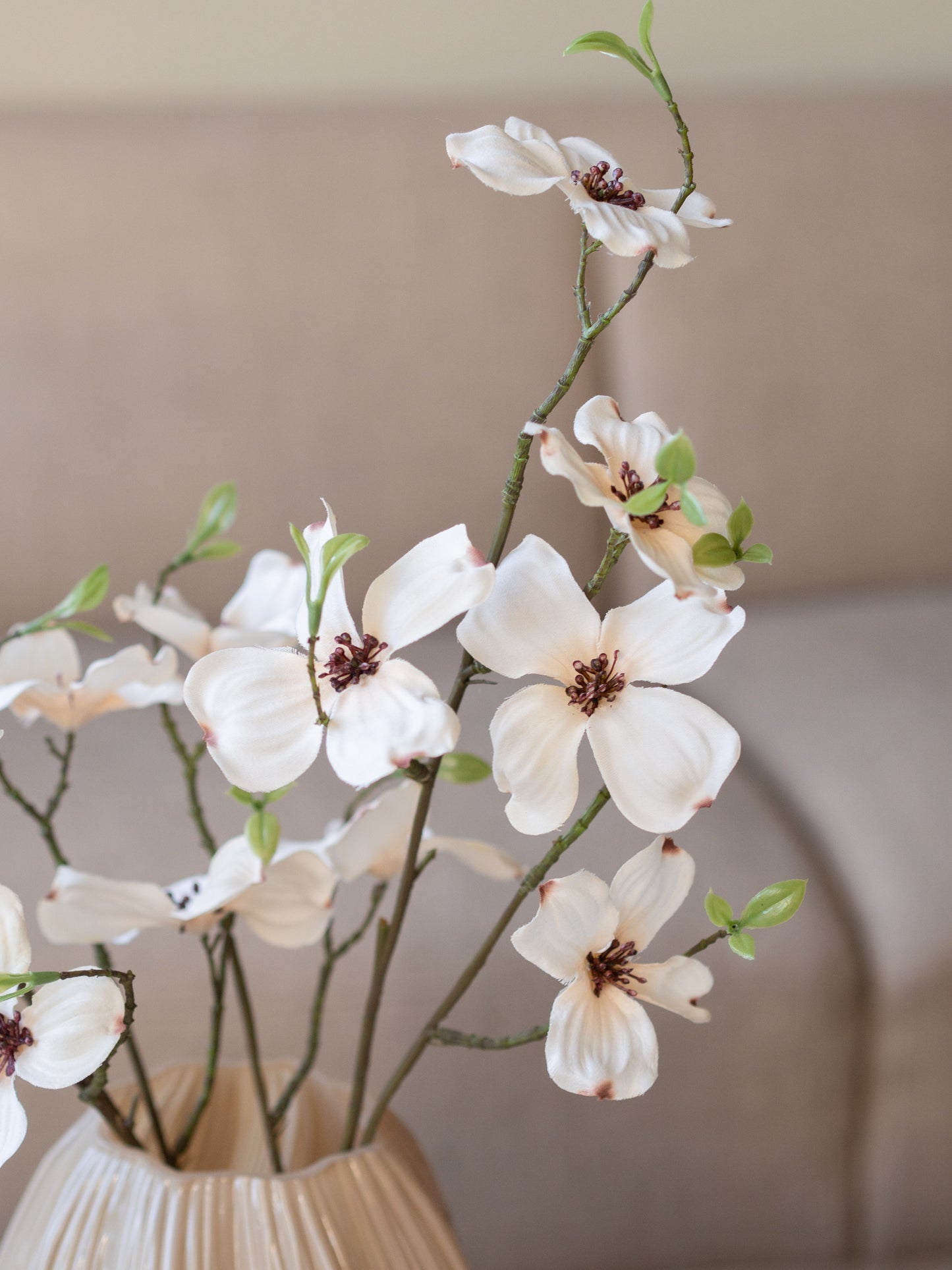 Zijden bloem | Dogwood
