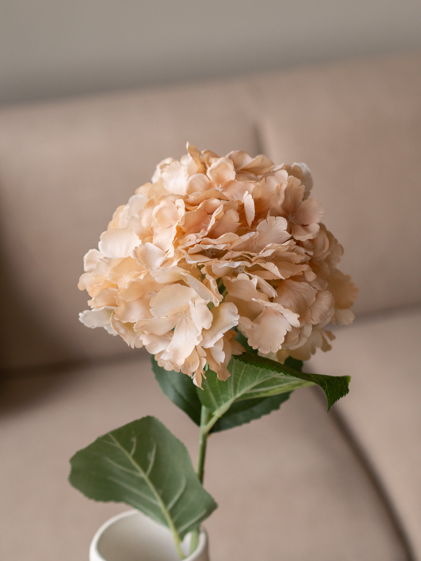 Zijden bloem | Hortensia | Beige