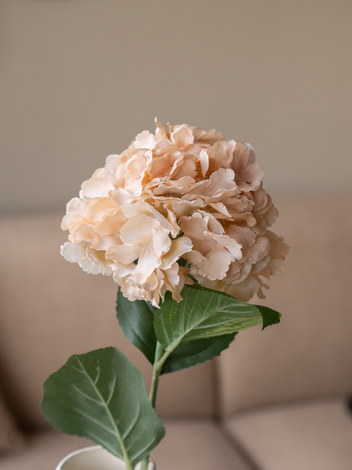 Zijden bloem | Hortensia | Beige