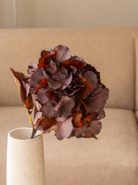 Hortensia 70cm off bruin