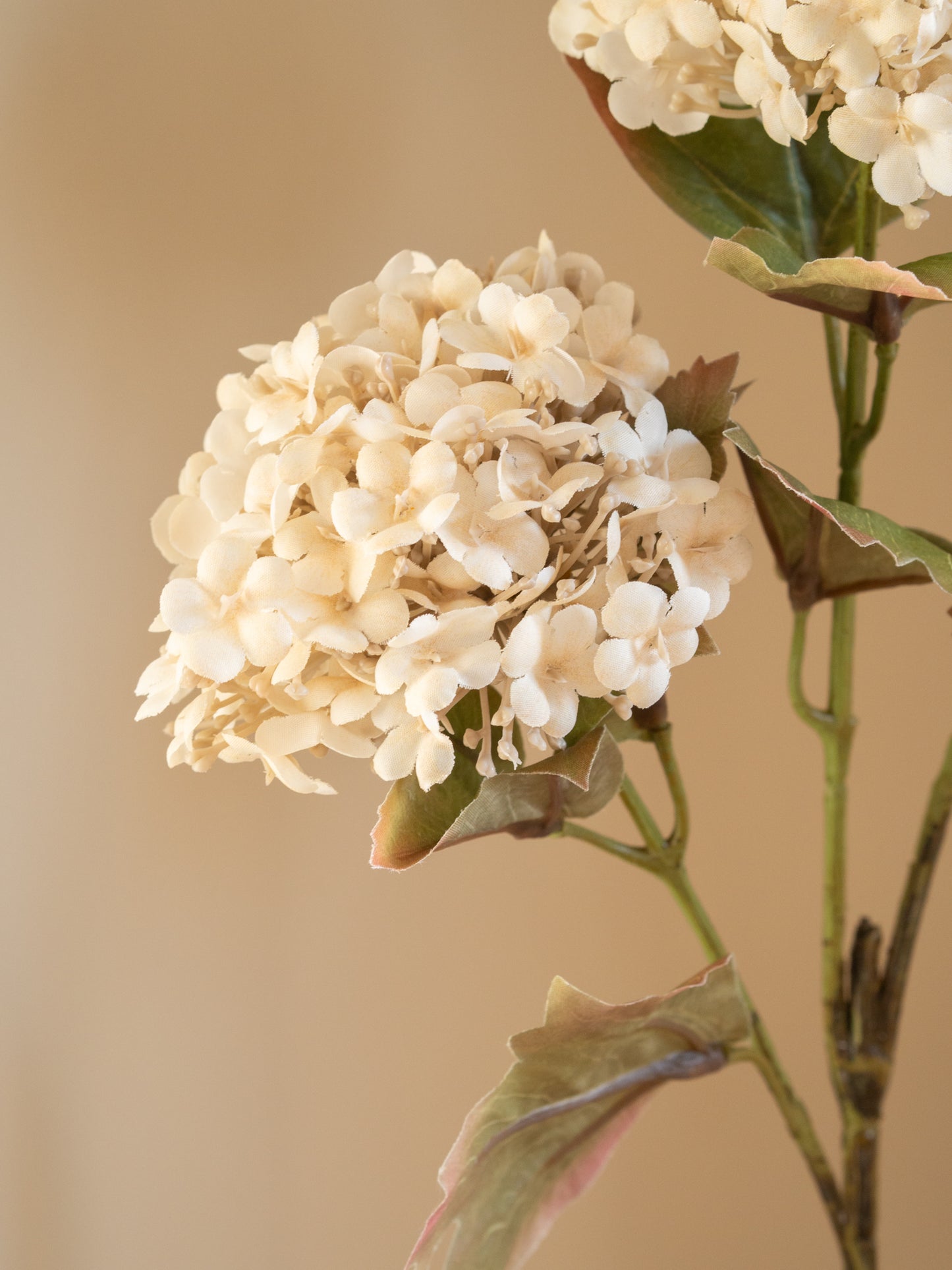 Zijden bloem | Viburnum | Drie