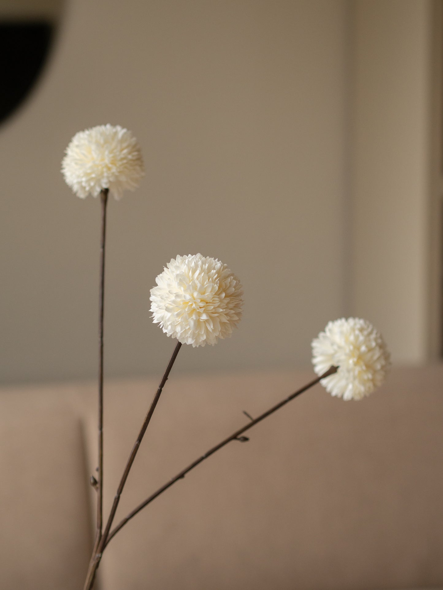 Zijdentak | Pompom | Drie