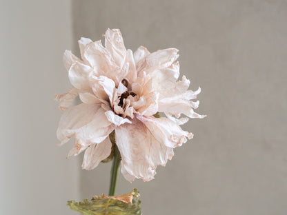 Zijden bloemen | Divers