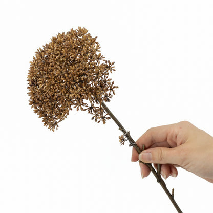 Zijden bloem | Trachelium | Beige/bruin | 65 cm