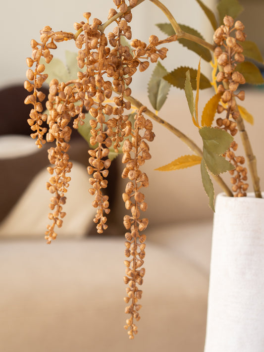 Zijden bloem | Phytolacca | Bruin