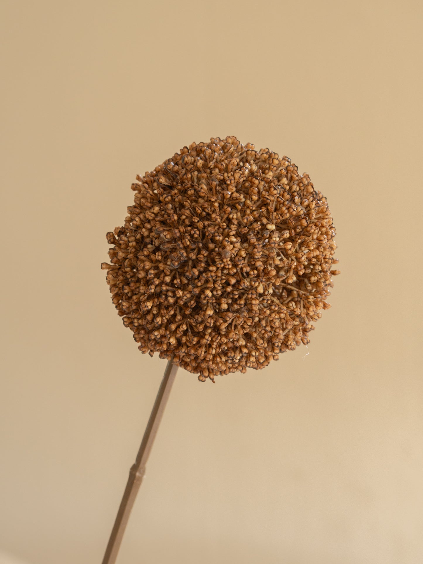 zijden bloem allium bruin