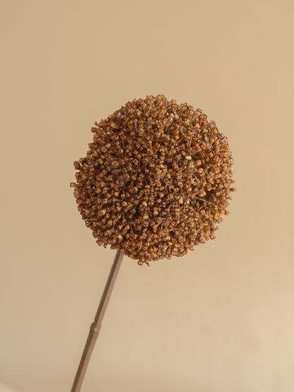 zijden bloem allium bruin